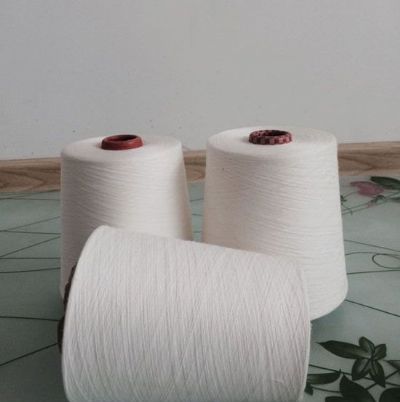 點擊查看詳細信息<br>標題：緊密賽絡紡棉粘紗 閱讀次數：1871